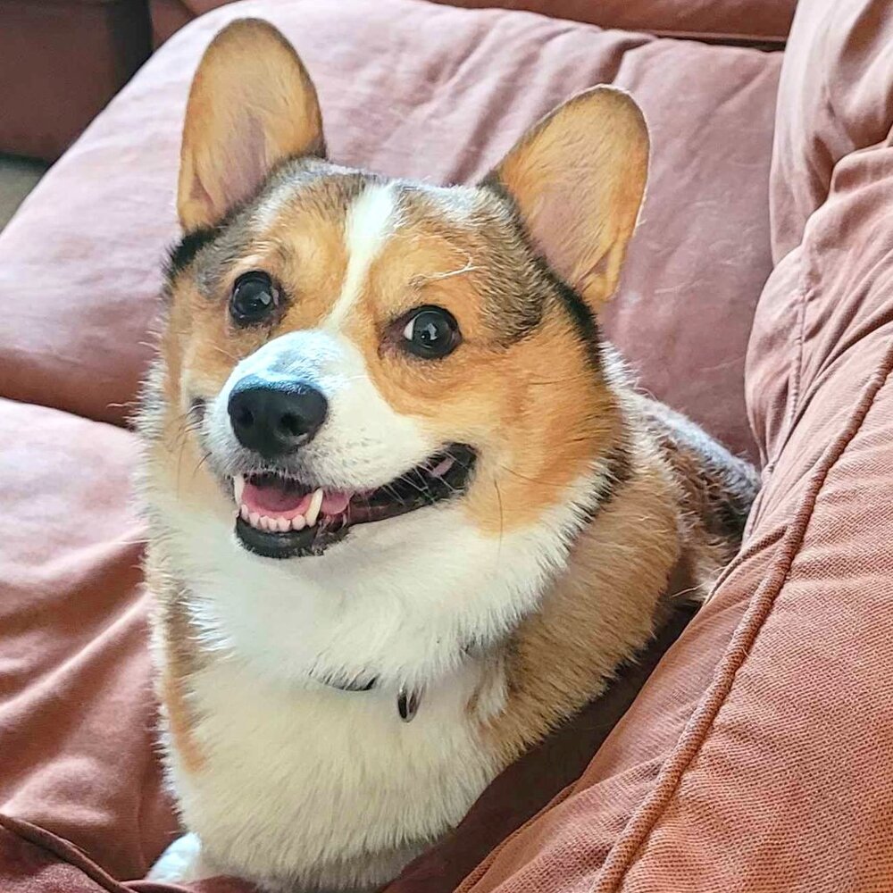 Meet your Posher, Rebecca